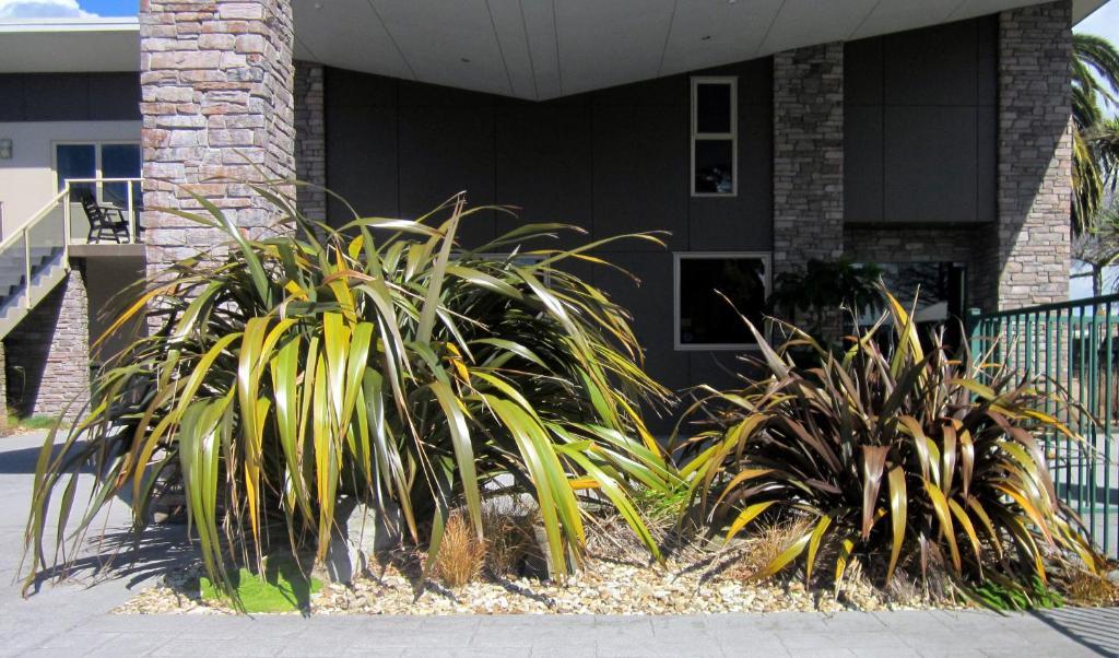 Stay 284 Rotorua - Refurbished Modern Accommodation المظهر الخارجي الصورة